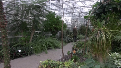 Ogród botaniczny IHAR w Myślęcinku/jw