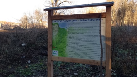 W miejscu wycinki drzew na Kępie Bazarowej, miasto ustawiło tablice informujące o walorach przyrodniczych Doliny Dolnej Wisły na obszarze Natura 2000. /fot. Michał Zaręba