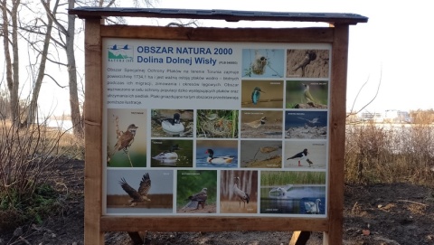 W miejscu wycinki drzew na Kępie Bazarowej, miasto ustawiło tablice informujące o walorach przyrodniczych Doliny Dolnej Wisły na obszarze Natura 2000. /fot. Michał Zaręba