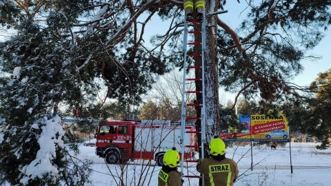 Zimowa praca strażaków z OSP Bydgoszcz-Fordon./fot. Facebook/OSP Bydgoszcz-Fordon