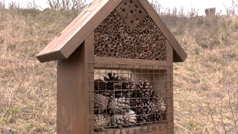 Przedwiośnie w Ogrodzie Botanicznym w Myślęcinku. (jw)