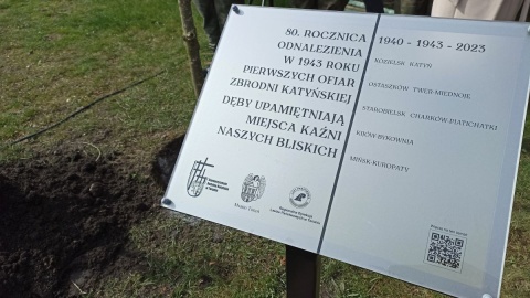 W Toruniu ku czci ofiar i ich rodzin posadzono cztery dęby/fot. Monika Kaczyńska