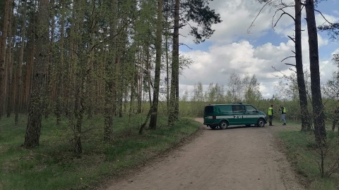 W lesie w Zamościu koło Bydgoszczy nadal obecne są służby, w tym Żandarmeria Wojskowa/fot. Monika Siwak