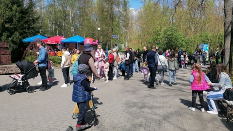 W majówkę zoo w bydgoskim Myślęcinku jest oblegane/fot. mg