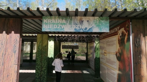 W majówkę zoo w bydgoskim Myślęcinku jest oblegane/fot. mg