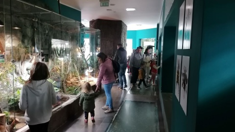 W majówkę zoo w bydgoskim Myślęcinku jest oblegane/fot. mg