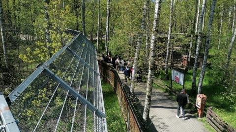 W majówkę zoo w bydgoskim Myślęcinku jest oblegane/fot. mg