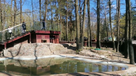 W majówkę zoo w bydgoskim Myślęcinku jest oblegane/fot. mg