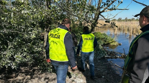 Zatrzymani to 53- i 54-latek, mieszkańcy powiatu żnińskiego/fot. KPP w Żninie