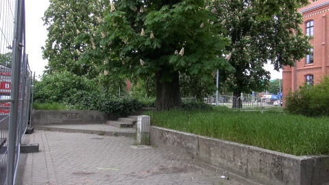 Rozpoczęła się rewitalizacja placu Kościeleckich w Bydgoszczy (jw)