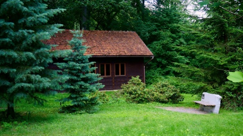 Park dendrologiczny „Nad Stążką"/fot. Magdalena Bławat-Lewandowska, kujawsko-pomorskie.pl