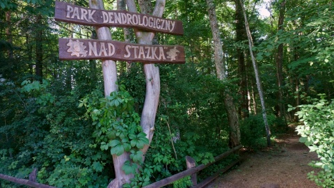 Park dendrologiczny „Nad Stążką"/fot. Magdalena Bławat-Lewandowska, kujawsko-pomorskie.pl