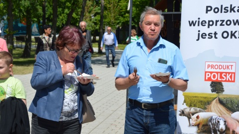 Odwiedzający mogą wziąć udział w różnych atrakcjach przygotowanych przez organizatorów/fot.: Patryk Głowacki