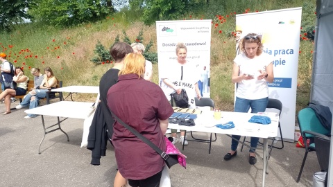 Festiwal Zawodów – Targi Pracy w Toruniu/fot. Michał Zaręba