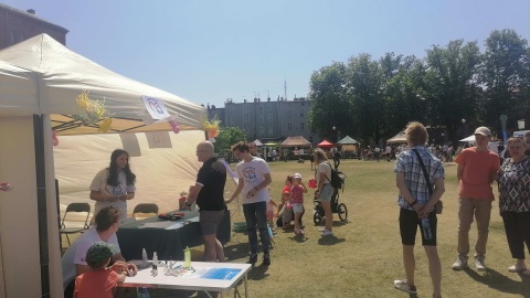 VI Piknik Organizacji Pozarządowych na Wyspie Młyńskiej/fot. Monika Siwak