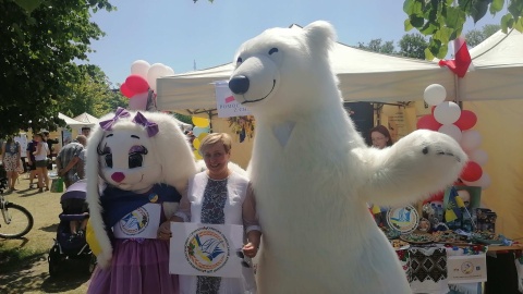 VI Piknik Organizacji Pozarządowych na Wyspie Młyńskiej/fot. Monika Siwak