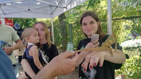 Piknik charytatywny Stowarzyszenia „Łatwo pomagać” w Pieczyskach/fot. Monika Siwak