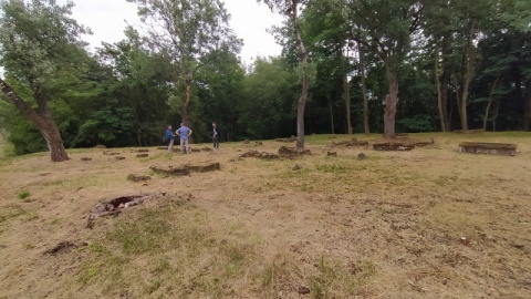 XVII-wieczny, czyli jeden z najstarszych w Polsce cmentarzy mennonickich w Przechówku koło Świecia zostanie odnowiony/fot. Marcin Doliński