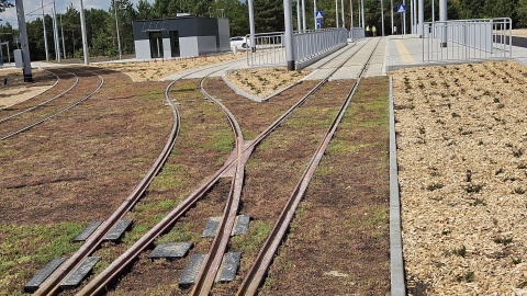 Na osiedlu Jar ruszyły prace związane z wprowadzeniem ruchu tramwajowego. Przejazdy zostaną uruchomione 1 września/fot: MZK w Toruniu