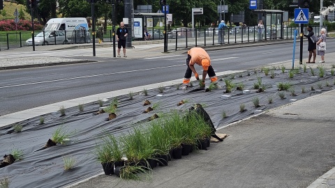 Na osiedlu Jar ruszyły prace związane z wprowadzeniem ruchu tramwajowego. Przejazdy zostaną uruchomione 1 września/fot: MZK w Toruniu