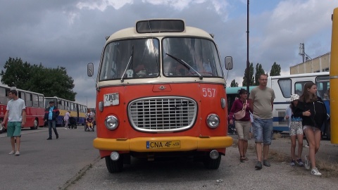 Zlot zabytkowych autobusów w Bydgoszczy/redakcja