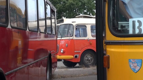 Zlot zabytkowych autobusów w Bydgoszczy/redakcja