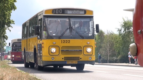 Zlot zabytkowych autobusów w Bydgoszczy/redakcja