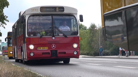 Zlot zabytkowych autobusów w Bydgoszczy/redakcja