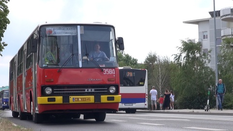 Zlot zabytkowych autobusów w Bydgoszczy/redakcja