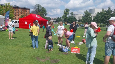 Piknik „Bo tętni w nas Dobro” na Wyspie Młyńskiej/fot. Jolanta Fischer