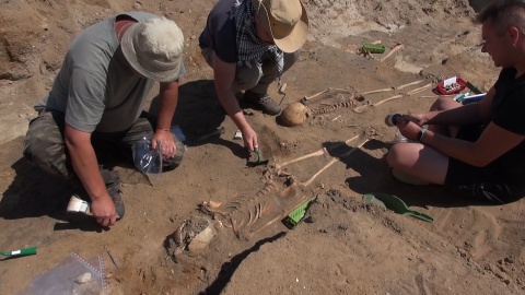 Wykopaliska archeologiczne w Pniu koło Ostromecka (jw)