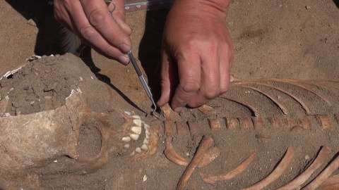 Wykopaliska archeologiczne w Pniu koło Ostromecka (jw)