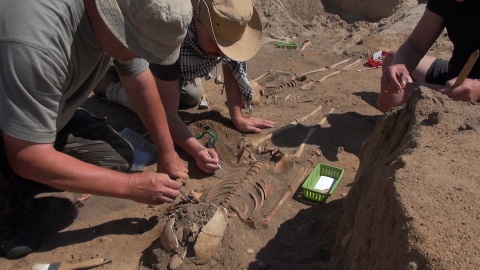 Wykopaliska archeologiczne w Pniu koło Ostromecka (jw)