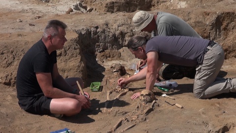 Wykopaliska archeologiczne w Pniu koło Ostromecka (jw)