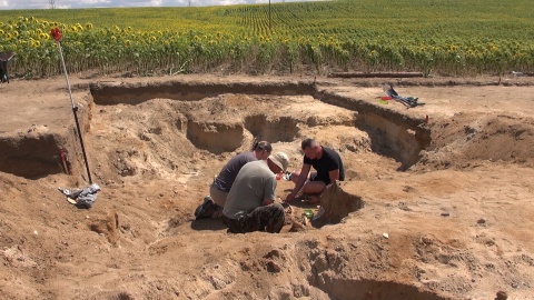 Wykopaliska archeologiczne w Pniu koło Ostromecka (jw)