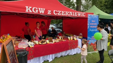Kujawsko-Pomorskie Miodowe Lato w Zarzeczewie/fot. Jarosław Kopeć