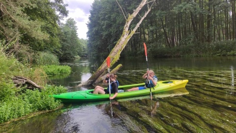 Harcerze z Wielkiej Brytanii spędzają czas w naszym regionie nad wodą i w lesie/fot: Jolanta Fischer