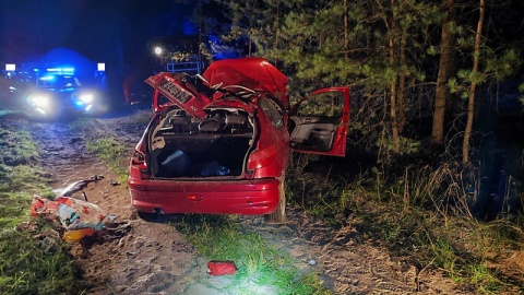 Dziewięć osób, w tym sześcioro dzieci, zostało zabranych do szpitala po wypadku w Miedznie (powiat świecki)/fot. Policja