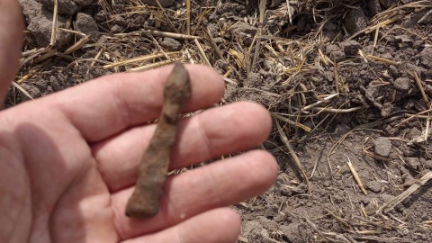 Przedmioty znalezione w czasie II Zlotu Poszukiwaczy Bitwy pod Koronowem/fot. Stowarzyszenie Historyczno-Archeologiczne Bractwo (nadesłane)