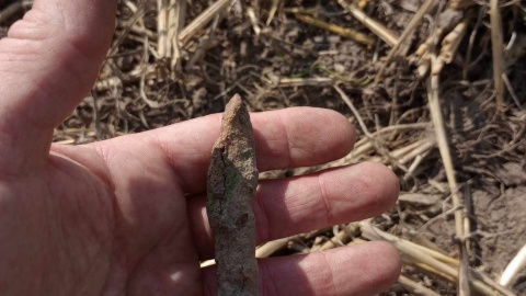 Przedmioty znalezione w czasie II Zlotu Poszukiwaczy Bitwy pod Koronowem/fot. Stowarzyszenie Historyczno-Archeologiczne Bractwo (nadesłane)