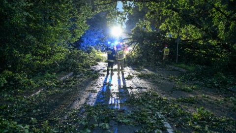 Skutki nawałnicy na Podkarpaciu/fot. Darek Delmanowicz/PAP