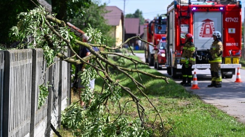 Skutki nawałnicy na Podkarpaciu/fot. Darek Delmanowicz/PAP