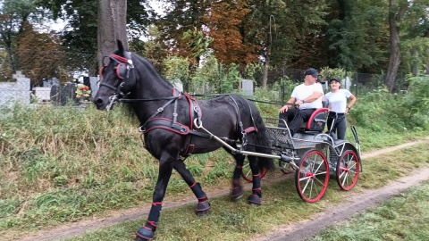 Piknik Koniarzy w Śliwicach/fot. Maciej Wilkowski