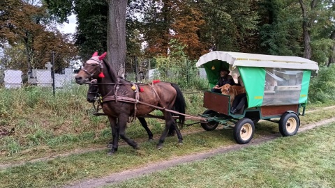 Piknik Koniarzy w Śliwicach/fot. Maciej Wilkowski