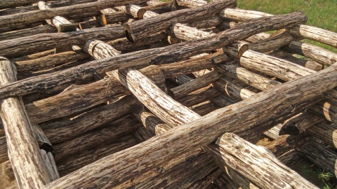 Konstrukcja obronnego skrzynkowego wału drewniano-ziemnego otaczającego osadę w Biskupinie (Rekonstrukcja z sierpnia 2018)/fot. W2k2 - Praca własna, CC BY-SA 3.0, https://commons.wikimedia.org/w/index.php?curid=71985796