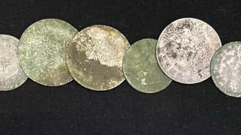 Monety znalezione w lesie Wdeckiego Parku Krajobrazowego/fot. Marcin Doliński