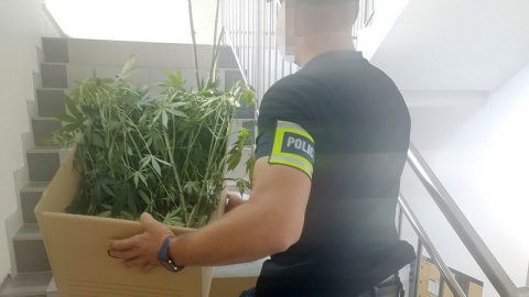 Policjanci z Komendy Wojewódzkiej Policji w Bydgoszczy wspólnie z policjantami z Rypina wpadli na trop producentów narkotyków. W związku z tą sprawą zatrzymano dwóch mężczyzn w wieku 30 i 34 lat, mieszkańców gminy Wąpielsk. Grozi im do 10 lat więzienia/fot. KWP Bydgoszcz