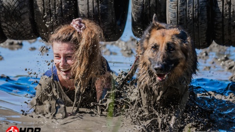 Hard Dog Race to biegi przełajowe dla psów i ich opiekunów. Sportowa akcja ma zwrócić uwagę na zachowanie ludzi względem zwierząt/fot: materiały organizatorów