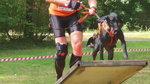 Hard Dog Race to biegi przełajowe dla psów i ich opiekunów. Sportowa akcja ma zwrócić uwagę na zachowanie ludzi względem zwierząt/fot: Witold Orcholski