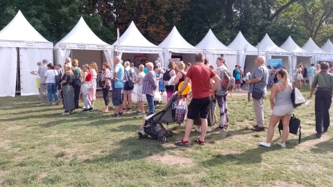 Torunianie mogli zmierzyć się w wielu testach sprawnościowych i dowiedzieć się czegoś nowego na temat roślin/fot: Michał Zaręba